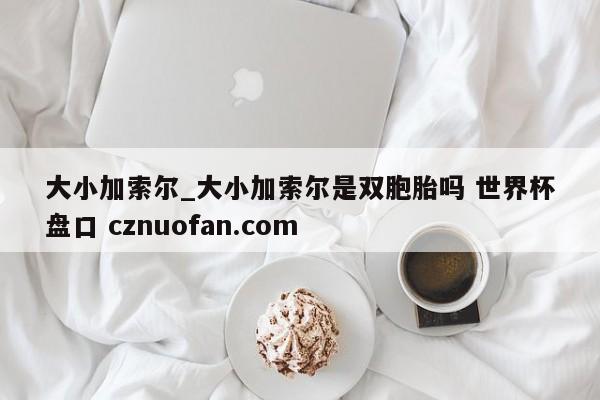大小加索尔_大小加索尔是双胞胎吗 世界杯盘口 cznuofan.com